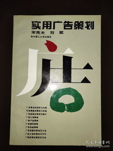 實(shí)用廣告策劃與設(shè)計(jì) 從策略到視覺(jué)的完美融合